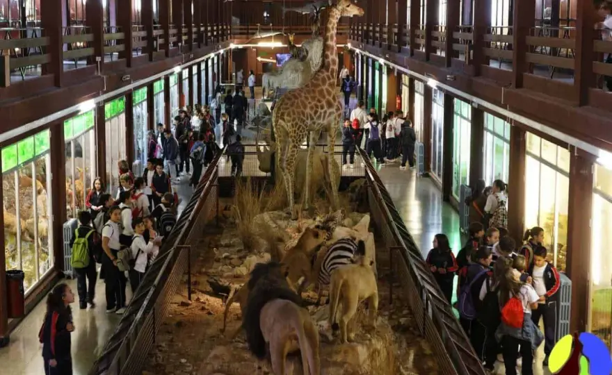 Museo Ciencias Naturales València - ¿Merece la pena?