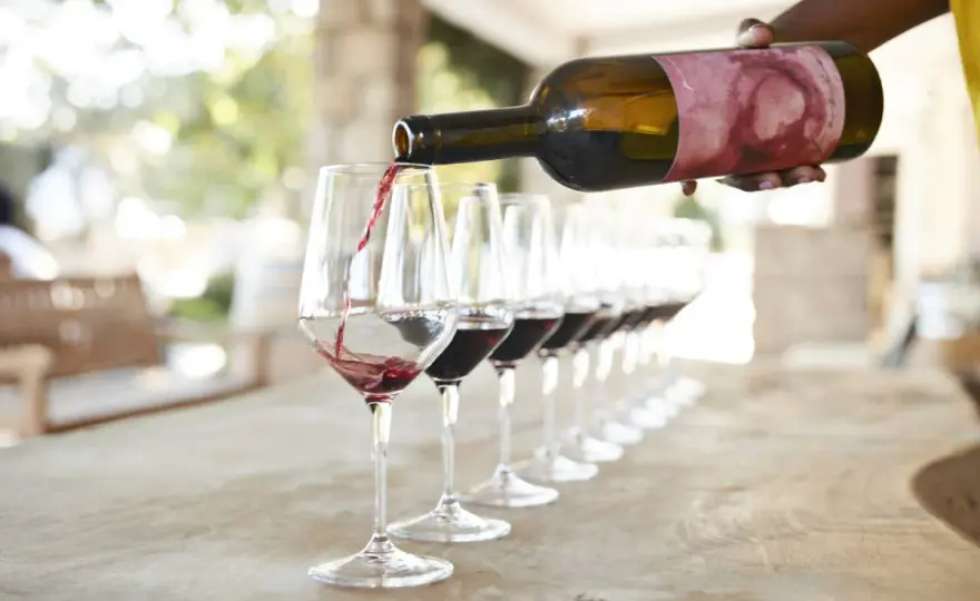 Cata de Vinos Valencia - Cómo elegir la mejor experiencia