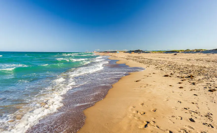 Playa de la Devesa del Saler - ¿Cómo disfrutarla de verdad?
