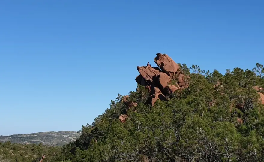 Desert de les Palmes - Guía completa para tu visita