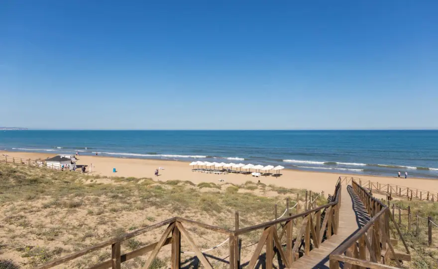 Playa del Moncayo - ¿Tu oasis de arena en Guardamar?