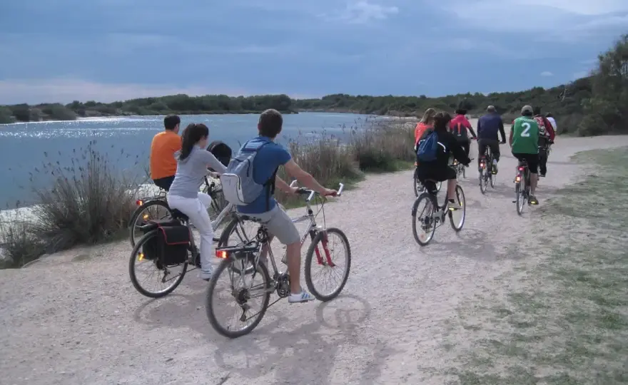 La Albufera de Valencia - Rutas, consejos y cuándo ir