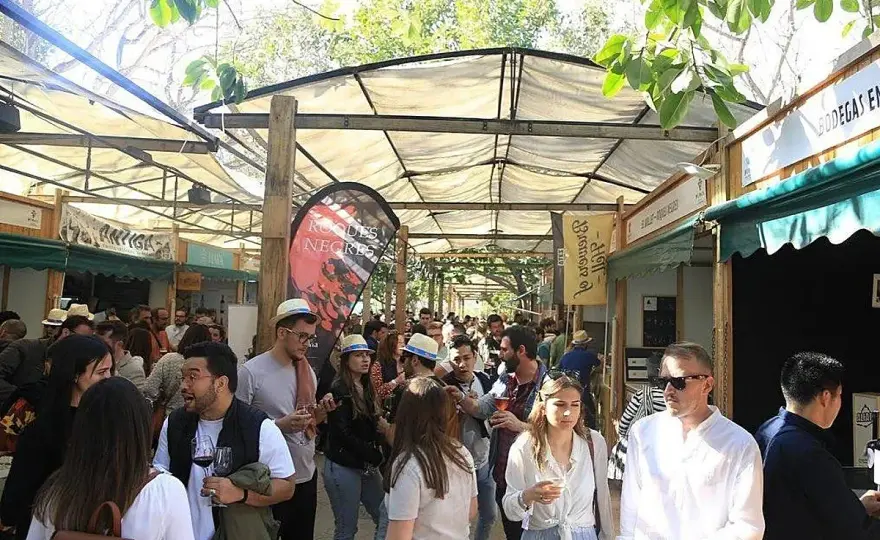 Feria del vino en Valencia - Guía completa para tu visita