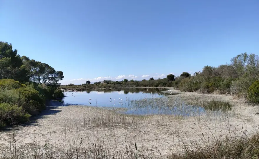 Racó de l'Olla - Guía completa para visitar la Albufera