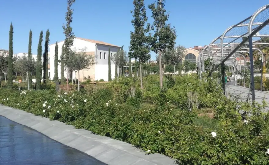 Parque Central Valencia: ¿Paseo o ruta? Guía para tu visita