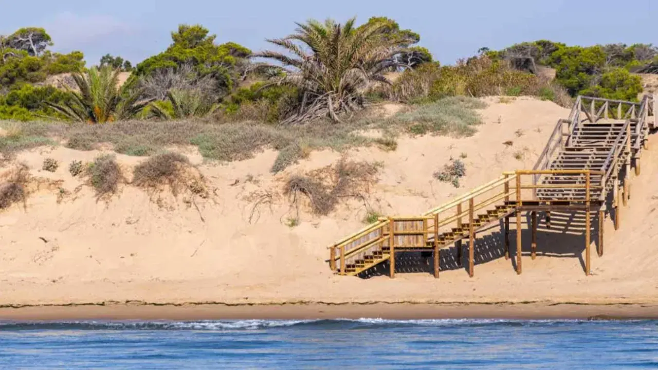 Escaleras de madera suben por las dunas de arena hacia la vegetación en la playa Els Tossals.