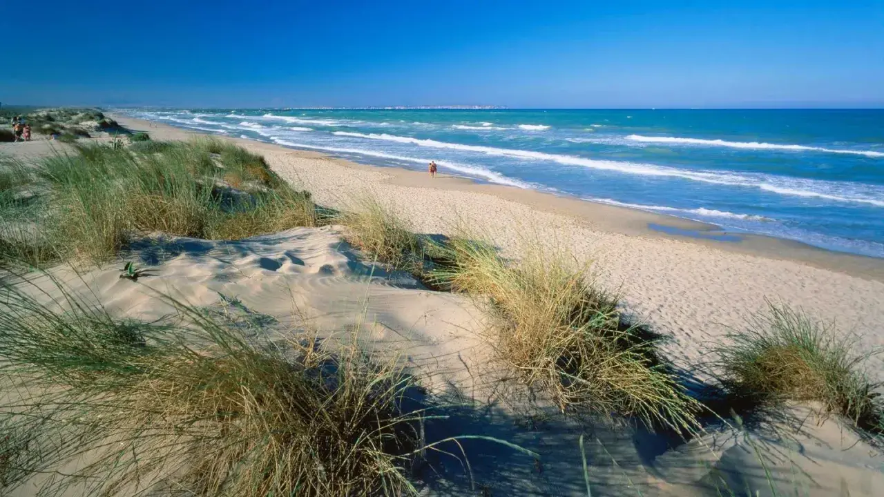 Dunas de arena y hierba en la playa los viveros, con el mar azul y olas rompiendo.