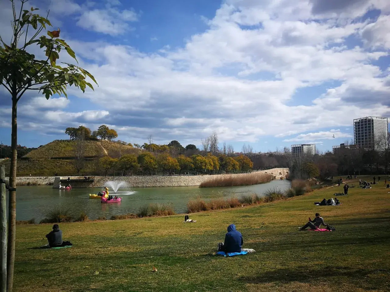 Gente relajándose en el césped del parque de cabecera, con un lago y barcas de pedales al fondo.