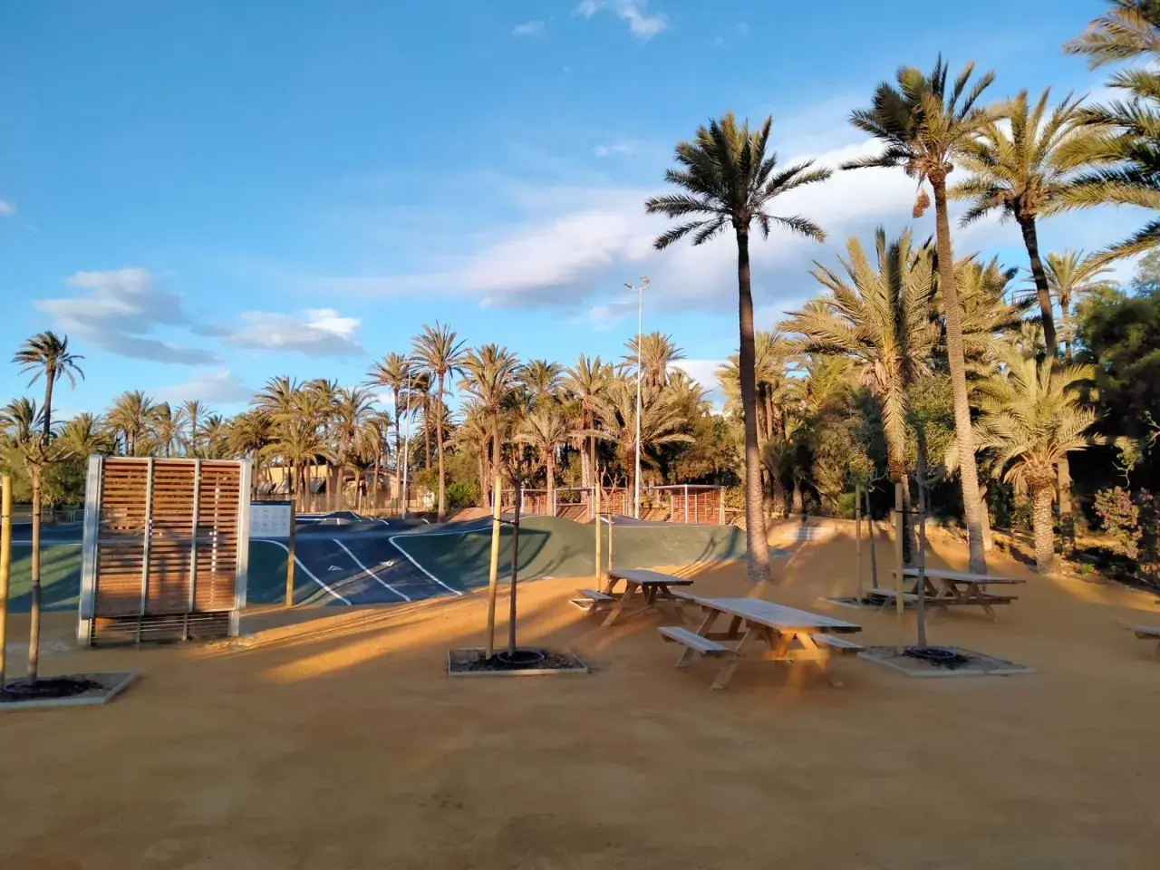 Un día soleado en el palmeral de Alicante, con palmeras altas, un circuito para patinar y mesas de picnic bajo el cielo azul.