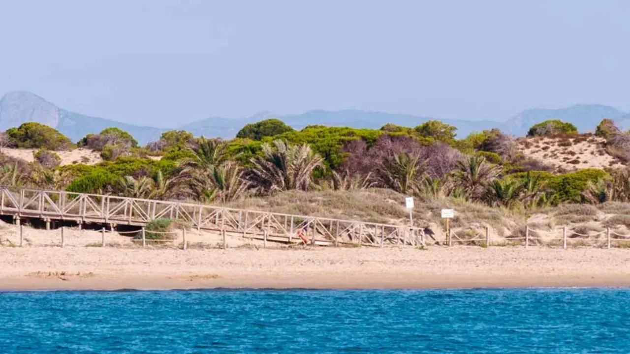 Pasarela de madera que sube a la vegetación dunar en la playa Los Tusales. El mar azul contrasta con la arena y las palmeras.