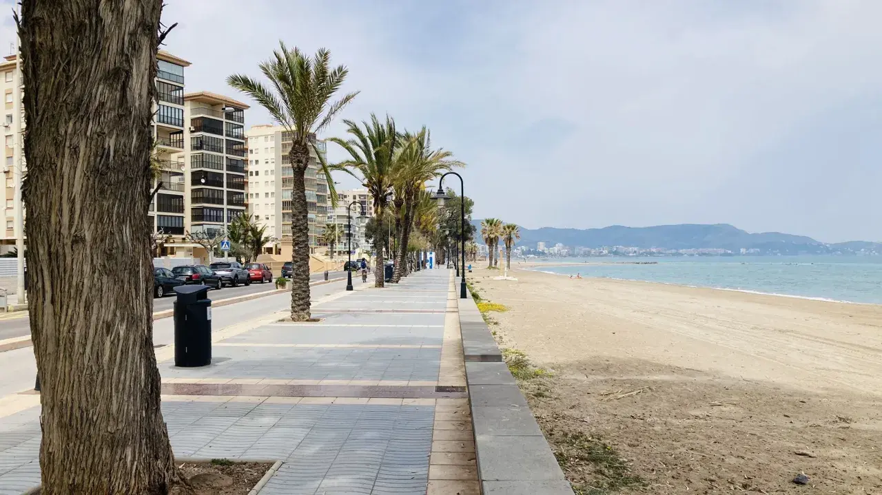 Paseo marítimo con palmeras y edificios modernos junto a la playa del Gurugú. El mar azul y las montañas al fondo crean un paisaje sereno.