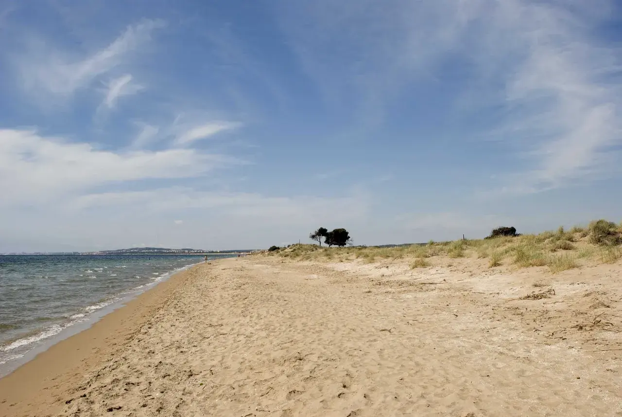 Arena dorada y mar azul en la playa el pinet, con dunas y pinos solitarios bajo un cielo nublado.