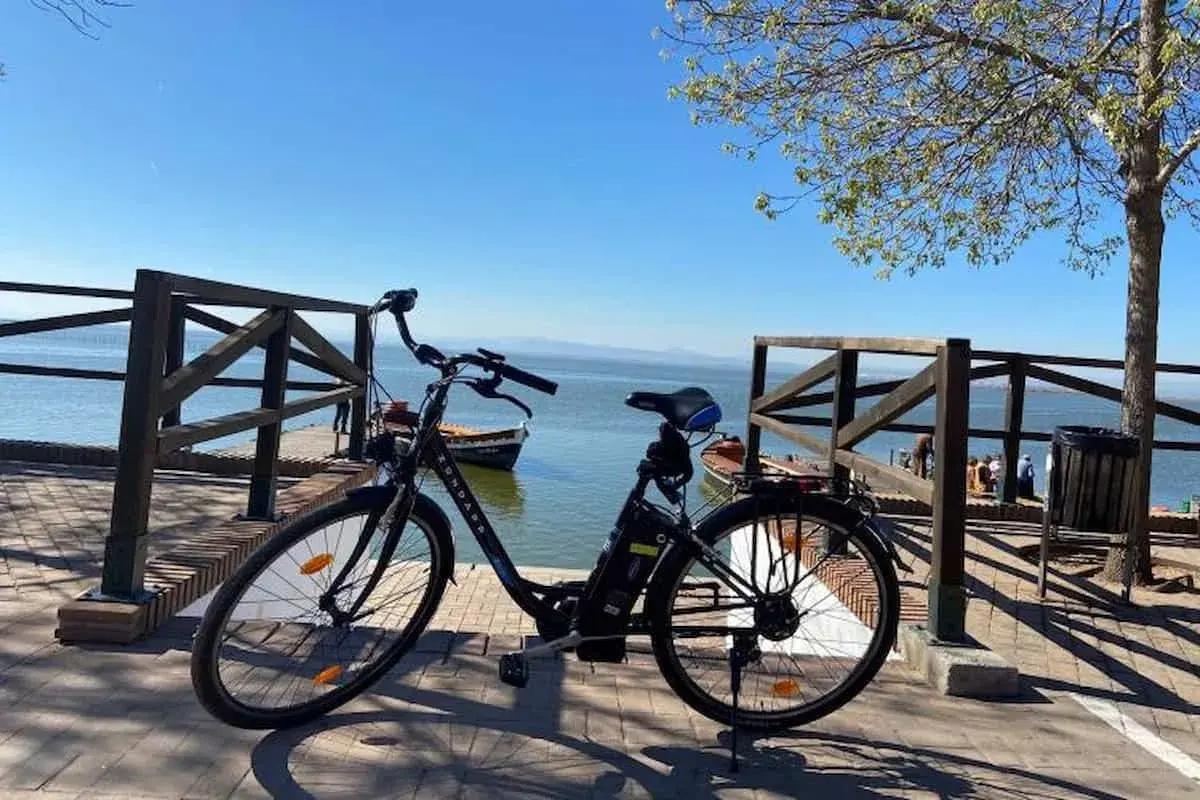 Bicicleta eléctrica lista para recorrer el carril bici de Valencia junto a la Albufera.