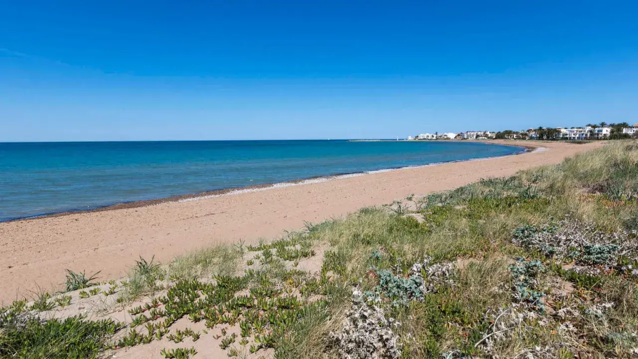La playa Els Molins se extiende con arena dorada y vegetación costera bajo un cielo azul. Al fondo, se vislumbran casas blancas y un faro.