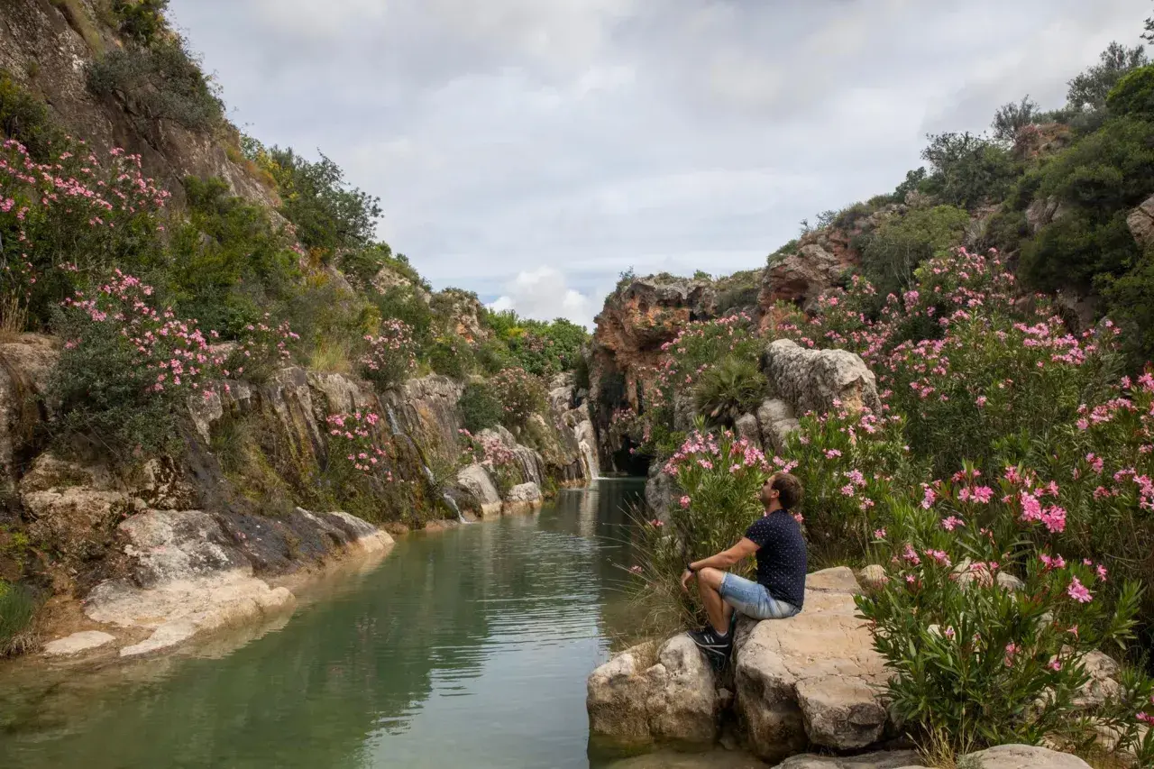 Hombre sentado junto a un río en un cañón con flores rosas. Un lugar perfecto para excursiones cerca de Valencia.