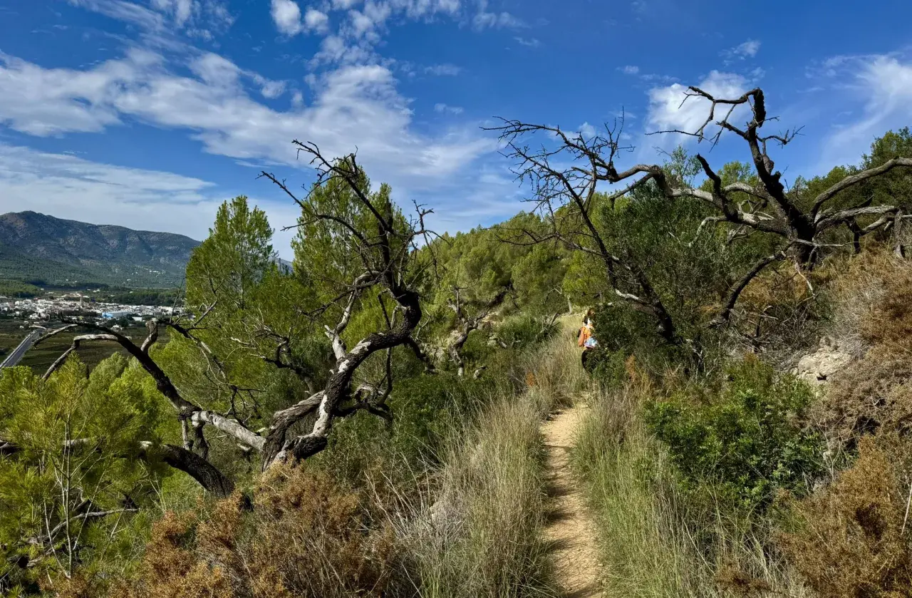 Sendero en el coll de rates, con vegetación seca y árboles retorcidos. Al fondo, un pueblo y montañas bajo un cielo azul con nubes.