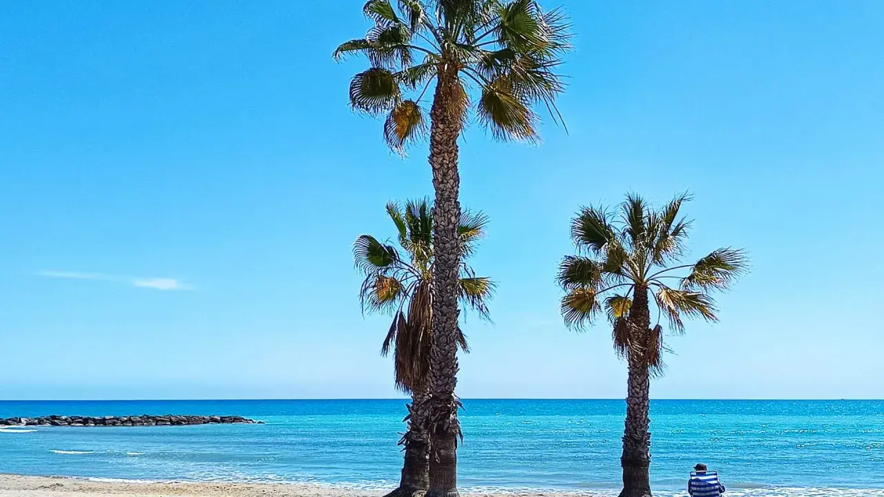 Palmeras en la playa del cerezo, con el mar turquesa y un cielo azul intenso. Una persona sentada en una silla mira el horizonte.