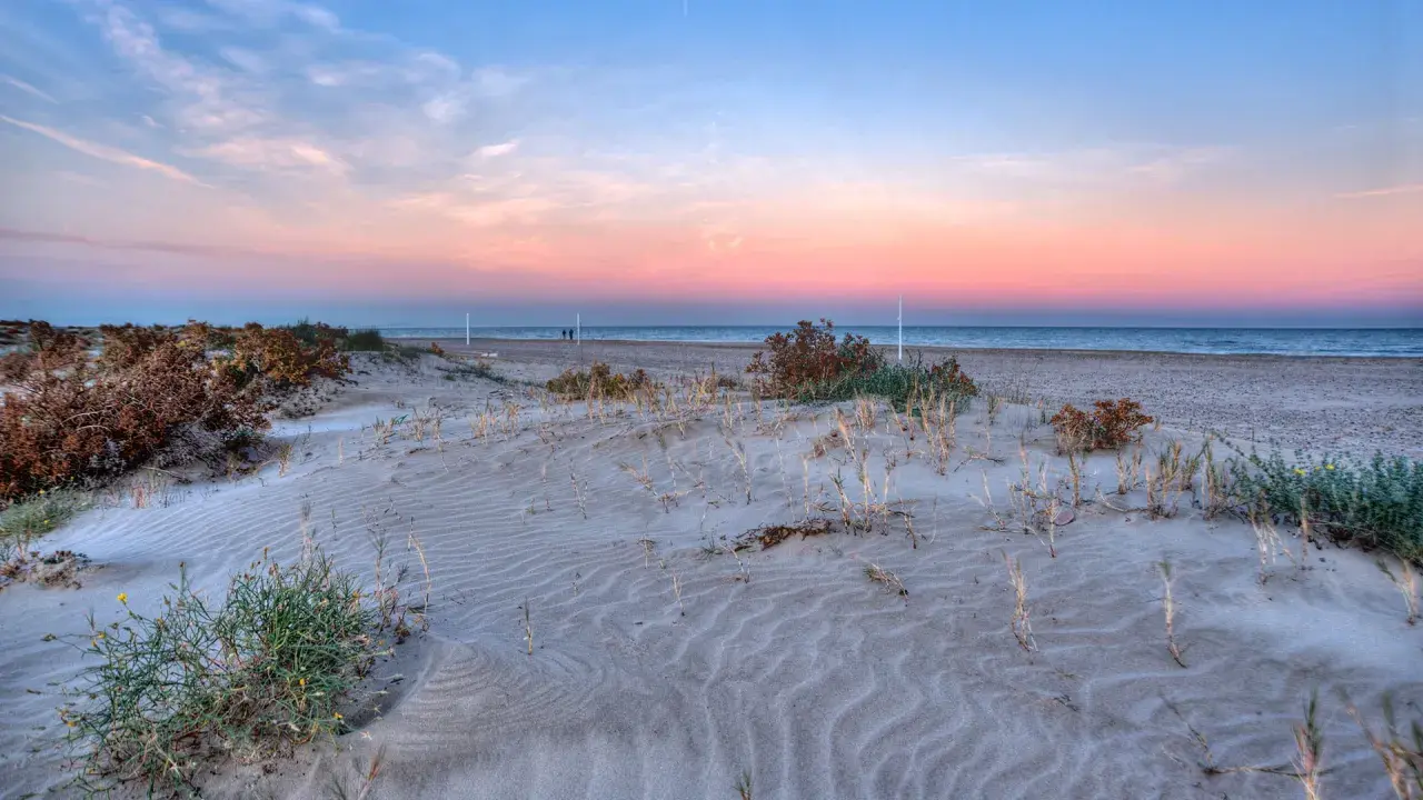 Dunas de arena con vegetación escasa en la **playa Almarda** al atardecer, con el mar y un cielo rosado de fondo.