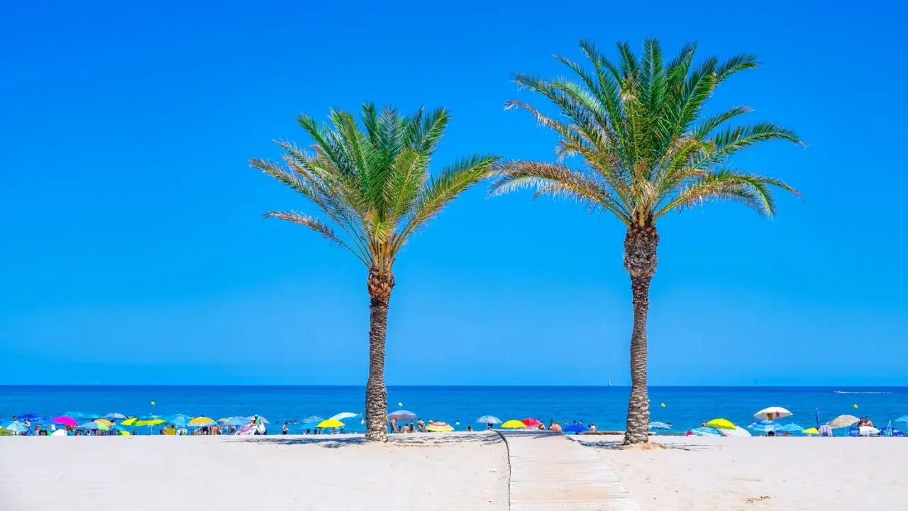 Dos palmeras flanquean un camino de madera hacia las playas de Costa Blanca, llenas de sombrillas y gente disfrutando del sol.