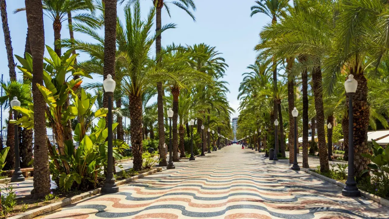 Una soleada promenada alicante con palmeras a ambos lados y un suelo de mosaico ondulado.