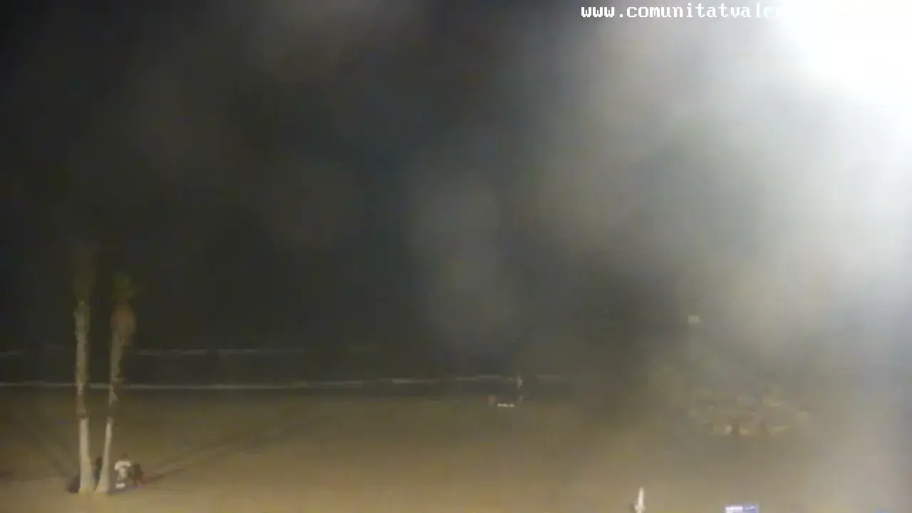 La webcam Patacona muestra una playa nocturna con palmeras y el mar. La imagen está algo borrosa.