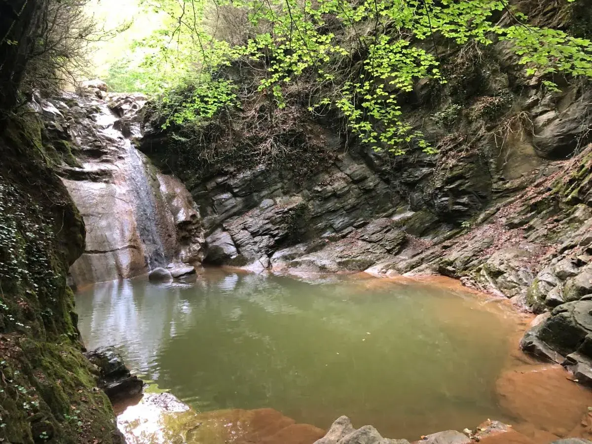 Un rincón secreto en el gorg dels Banyuts, con una cascada que alimenta una poza de aguas verdes rodeada de rocas y vegetación exuberante.