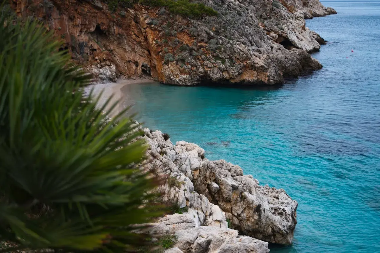 Una cala escondida en el mar de Jávea, con aguas turquesas y rocas escarpadas. Palmeras en primer plano añaden un toque exótico.