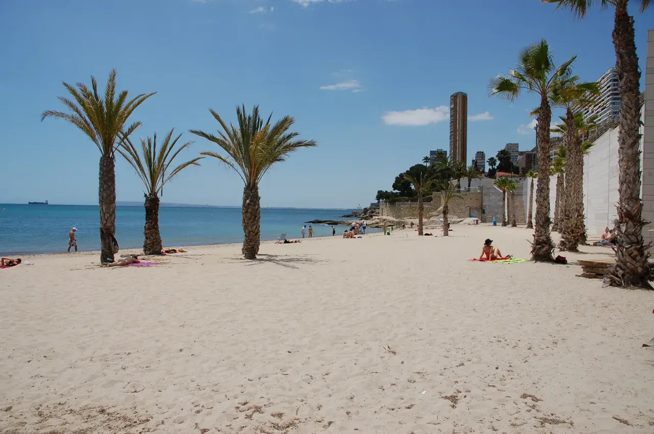 Gente disfruta del sol en la playa albufereta, con palmeras y edificios modernos de fondo.