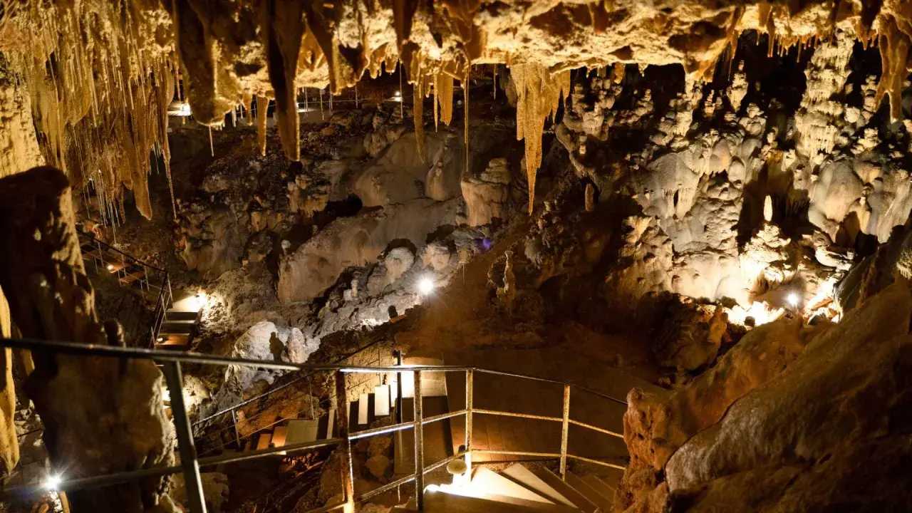 Interior de la cueva del Rull, con estalactitas colgando del techo y formaciones rocosas iluminadas. Escaleras y barandillas guían el recorrido.