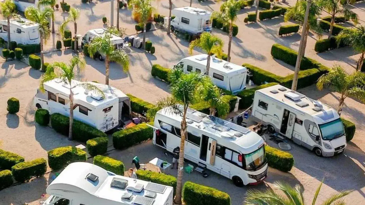 Un camping soleado en Xeraco con varias autocaravanas aparcadas entre palmeras y setos.