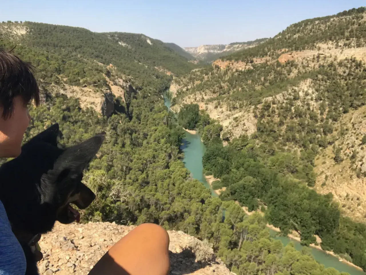 Un perro y una persona contemplan los impresionantes cañones del Júcar, con un río turquesa serpenteando entre montañas cubiertas de pinos.