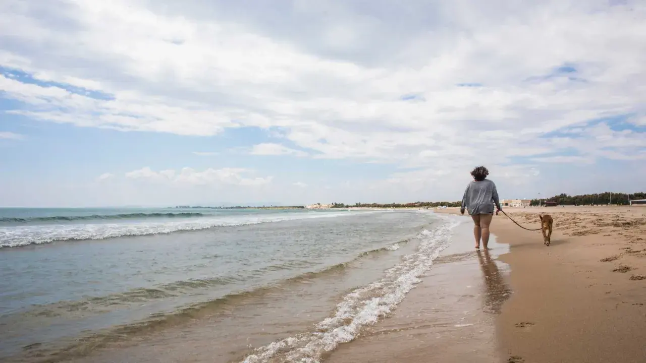Una persona pasea con su perro por la orilla de la playa de Pinedo, con el mar y el cielo nublado de fondo.
