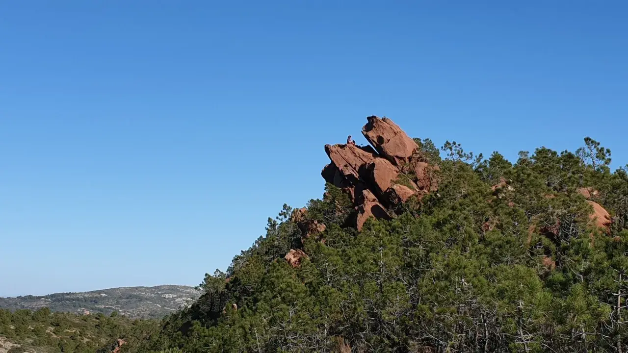Persona sentada en la cima de una roca rojiza en el **Desert de les Palmes**, rodeada de pinos y bajo un cielo azul intenso.