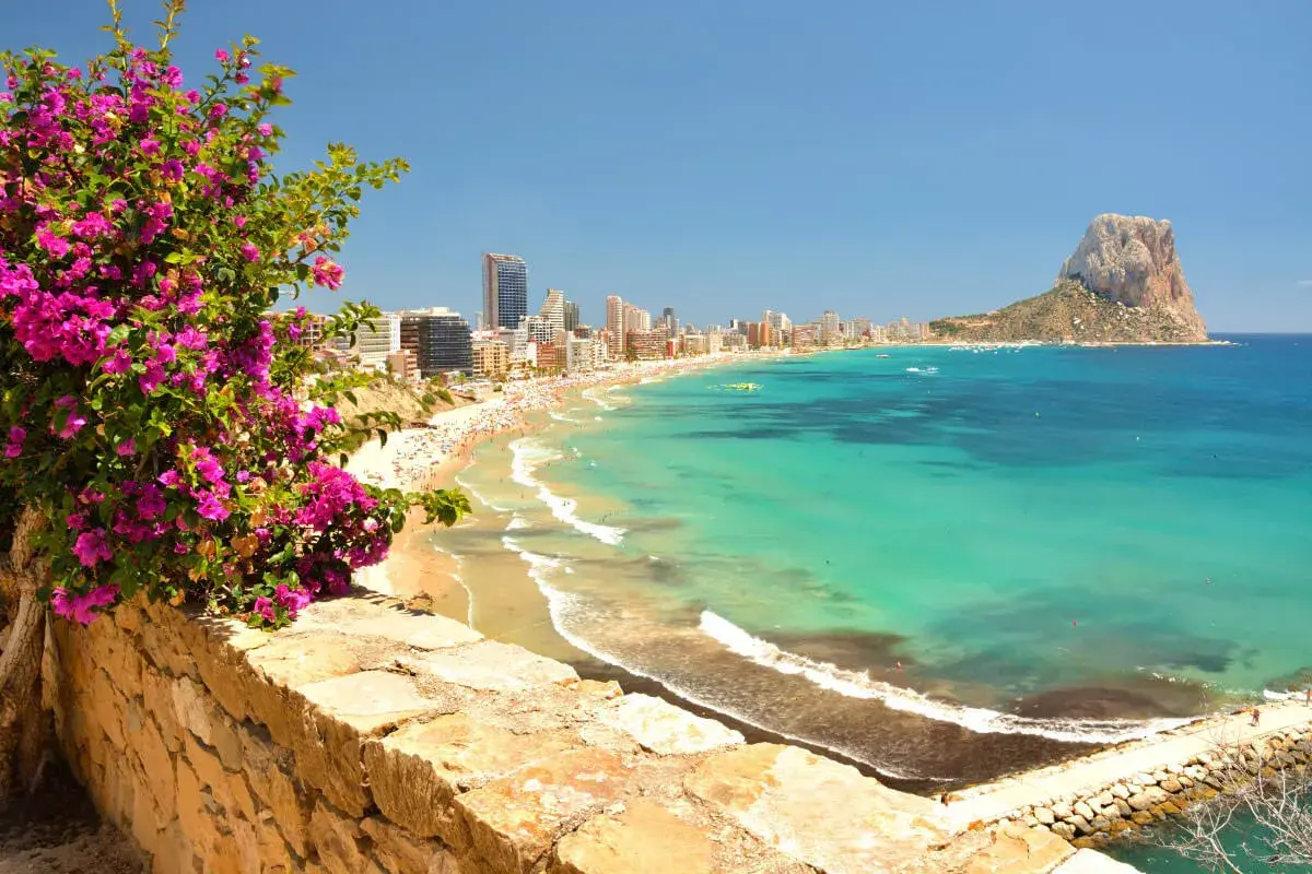 Vista panorámica de la mejor playa de Calpe, con su arena dorada, aguas turquesas y el imponente Peñón de Ifach. Flores moradas en primer plano.