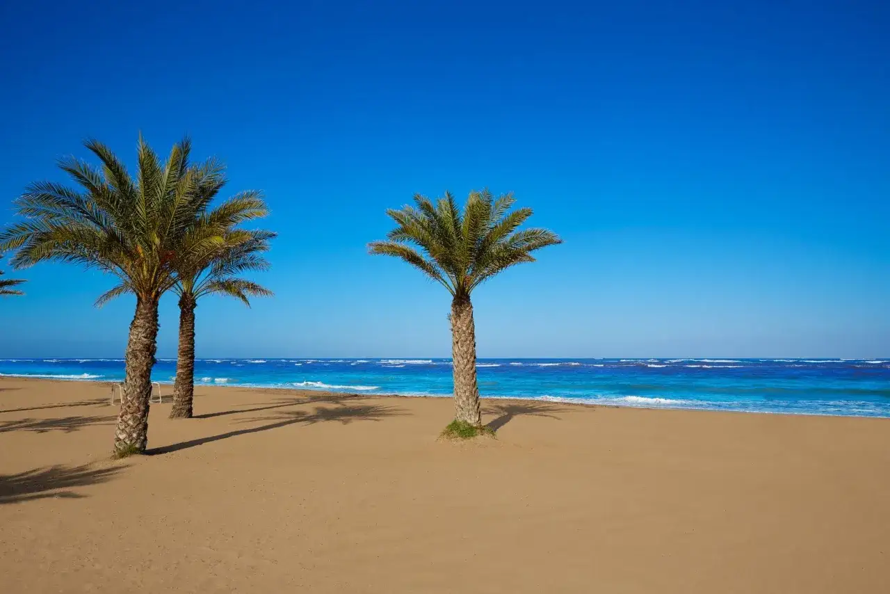 Palmeras en la arena dorada, mar azul y cielo despejado. Un paraíso que evoca las mejores playas de Dénia.