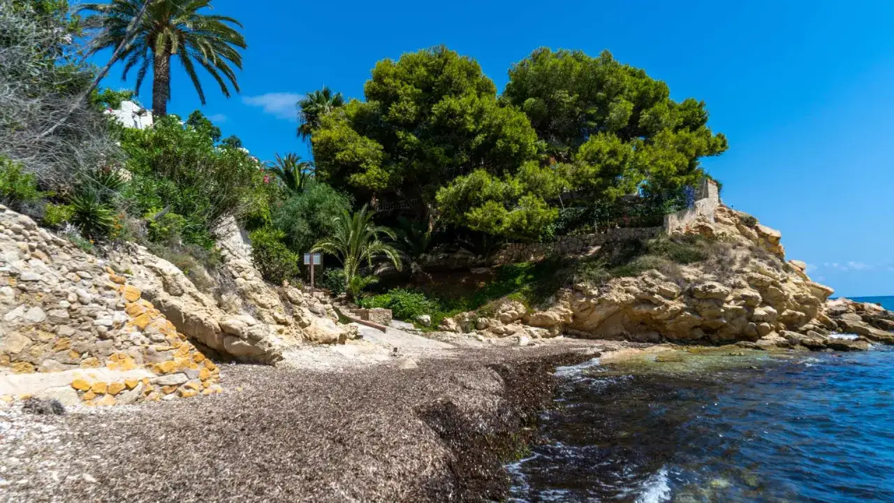 Una cala nostra, rocosa y verde, con palmeras y el mar azul.