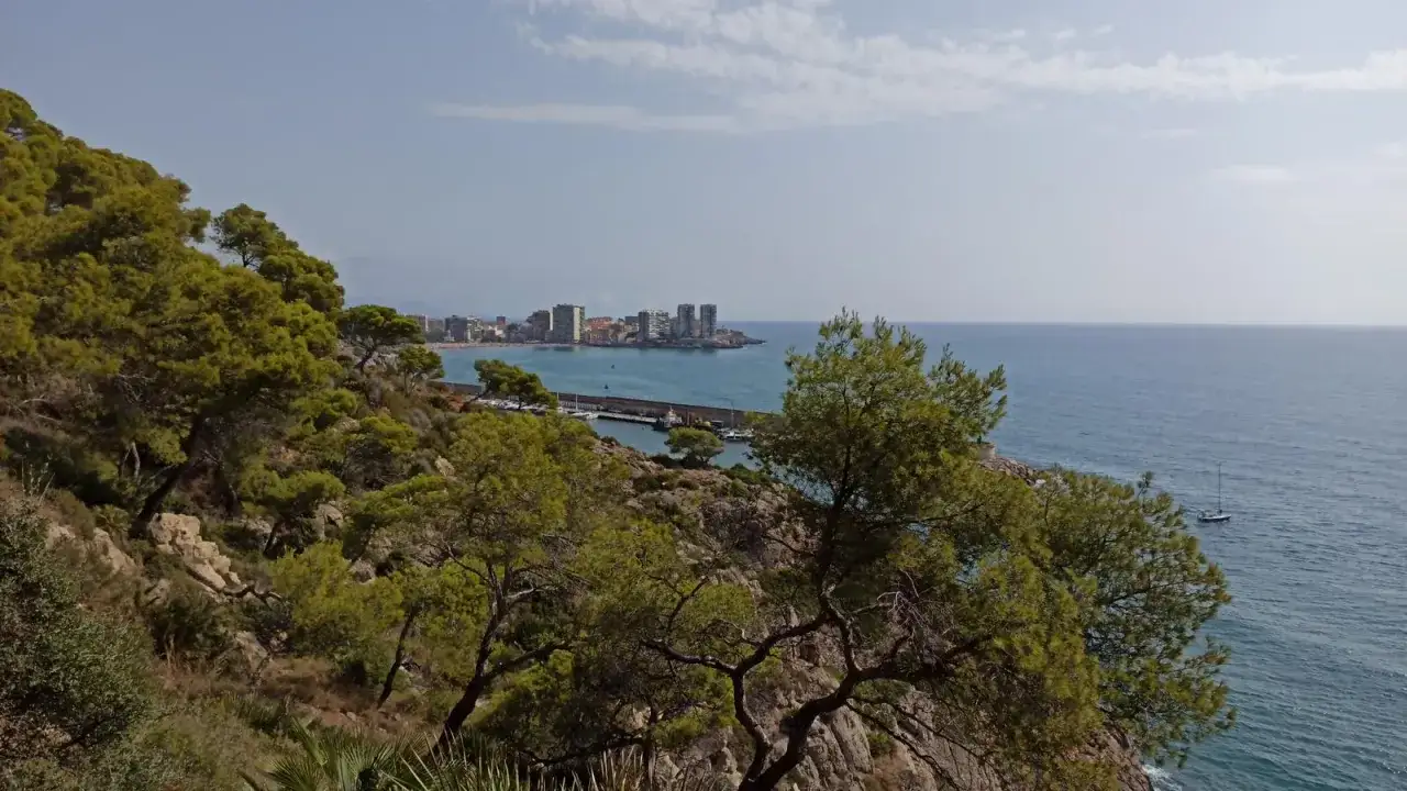 Vista desde la renega: pinos y rocas en primer plano, con un puerto y edificios de ciudad al fondo, sobre el mar azul.