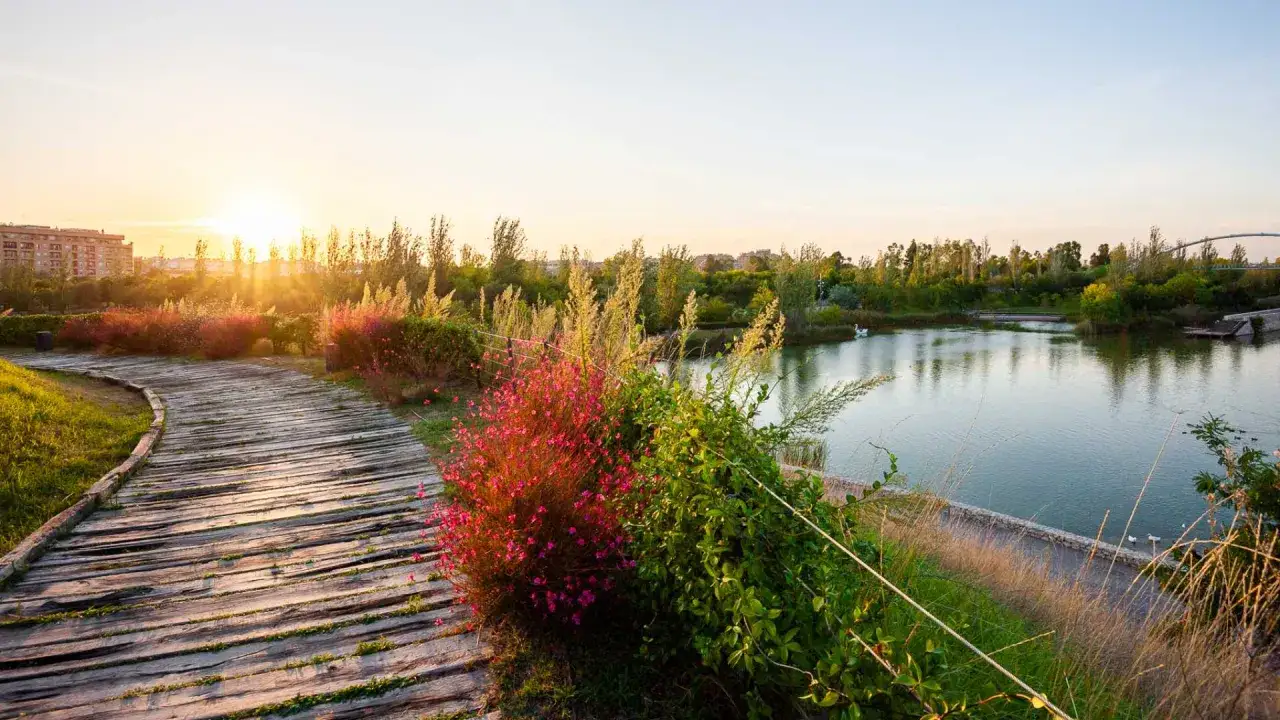 Sendero de madera serpentea por el parque de cabecera, rodeado de flores rosas y verdes exuberantes. Un lago sereno refleja el atardecer.