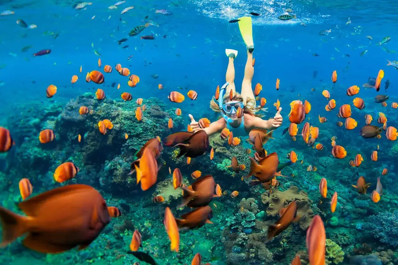 Una persona hace snorkel en cala les rotes, rodeada de peces de colores y corales vibrantes.