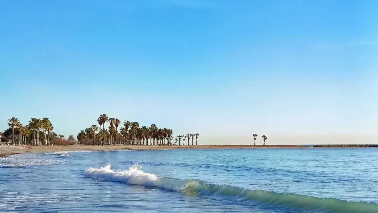 Olas rompiendo en la playa del cerezo, con palmeras alineadas y un cielo azul despejado.
