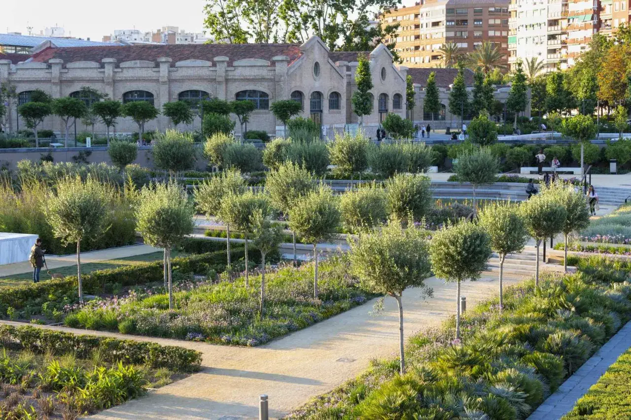 Un paseo por el parque central Valencia, con olivos, flores y edificios históricos al fondo.