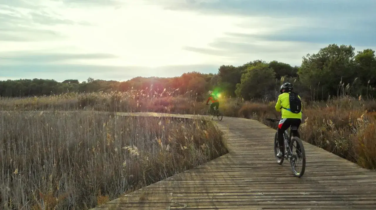 Ciclistas disfrutan de las rutas de ciclismo en Valencia, pedaleando por senderos de madera entre cañas y árboles.