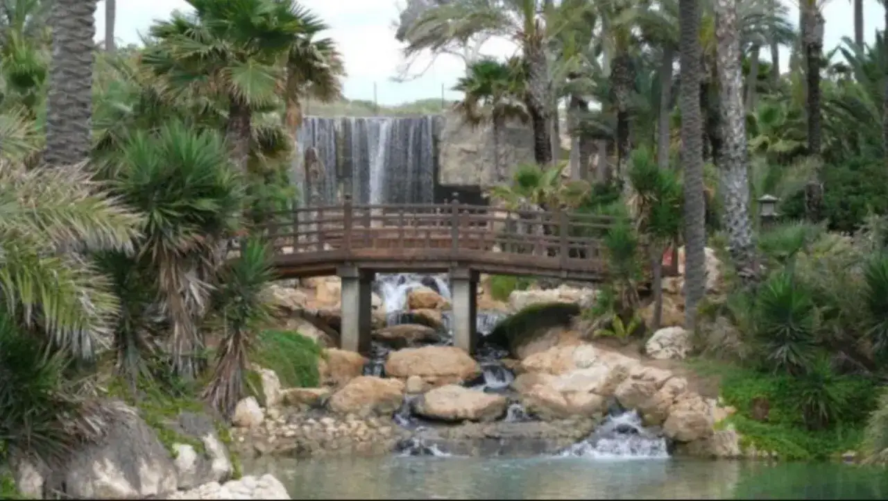 Un puente de madera cruza un arroyo con cascadas, rodeado de exuberante vegetación y palmeras, evocando la belleza del palmeral alicantino.