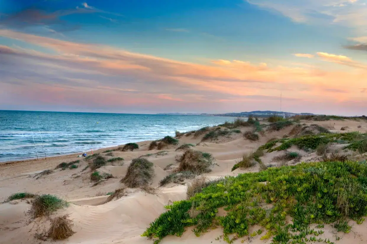 Dunas y vegetación en la playa la marina, con el mar azul y un cielo rosado al atardecer.