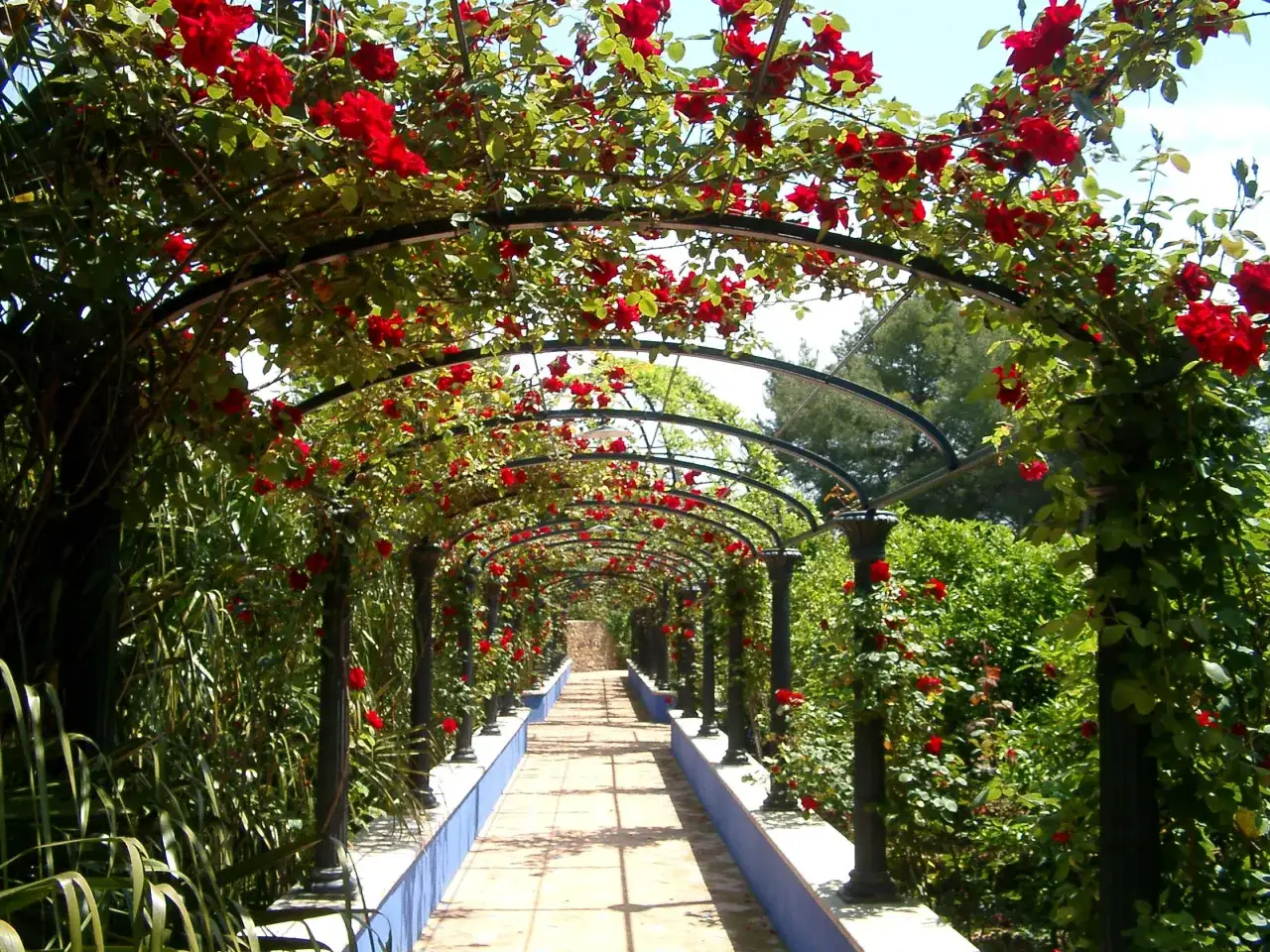 Un pasillo cubierto de rosas rojas en el jardín de l'albarda, con pilares oscuros y un camino de baldosas.