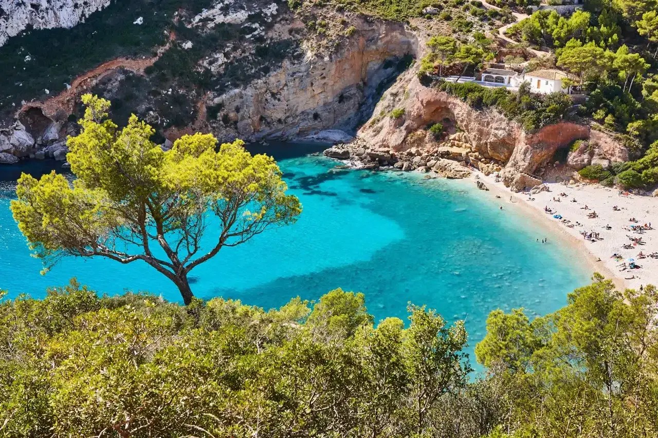 Una cala idílica con aguas turquesas y una playa de arena, rodeada de acantilados y vegetación exuberante. Un árbol solitario se alza en primer plano, ofreciendo sombra. Un paraíso en la costa de strand Valencia.