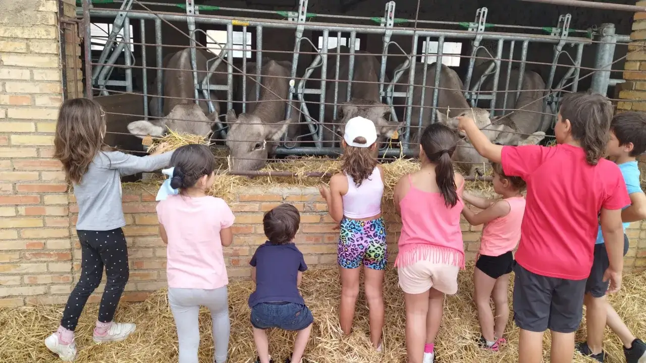 Niños observan vacas en la granja escola corral de neri.