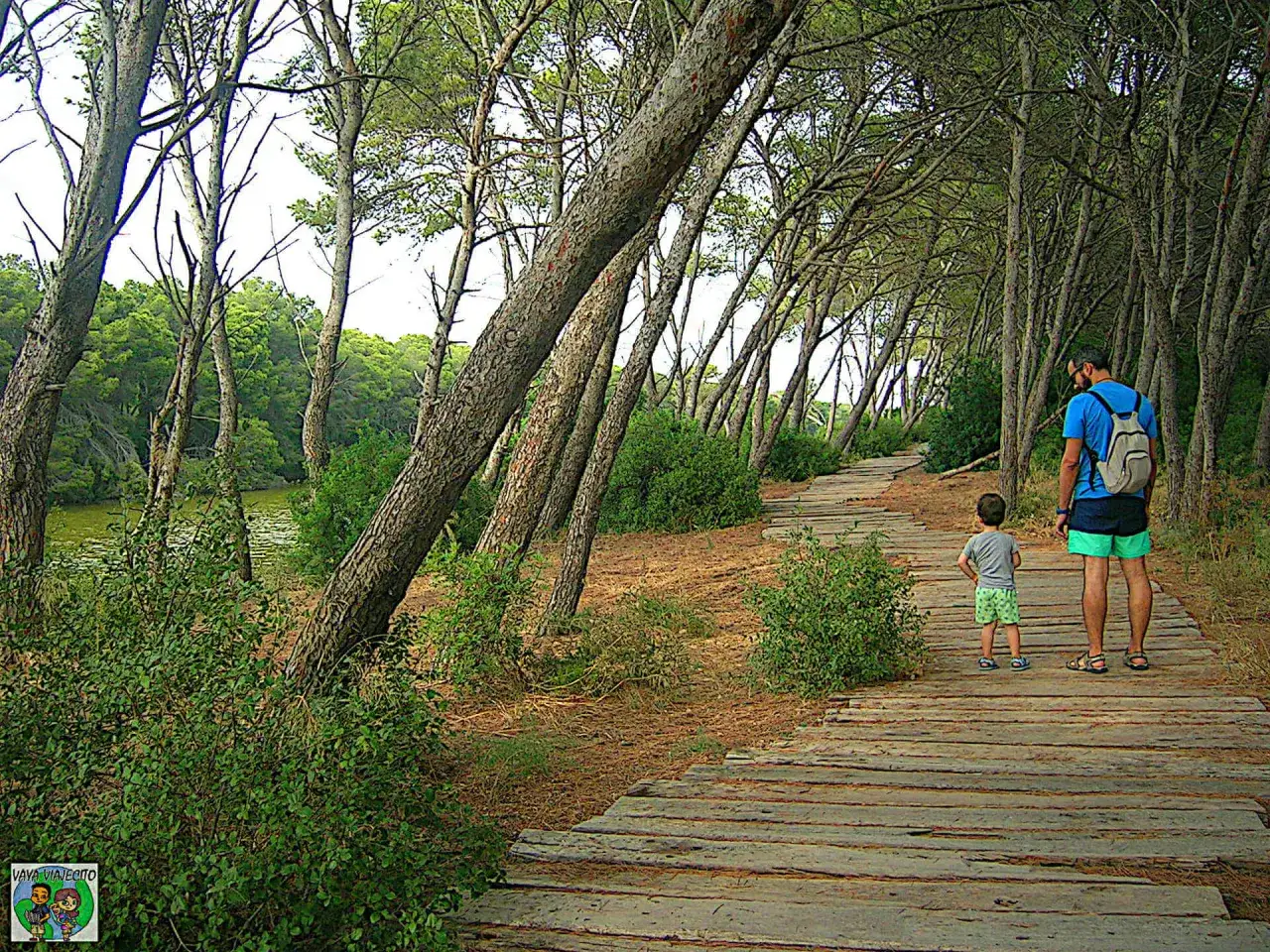 Un padre y su hijo disfrutan de las rutas de senderismo en Valencia, caminando por un sendero de madera entre pinos y vegetación.