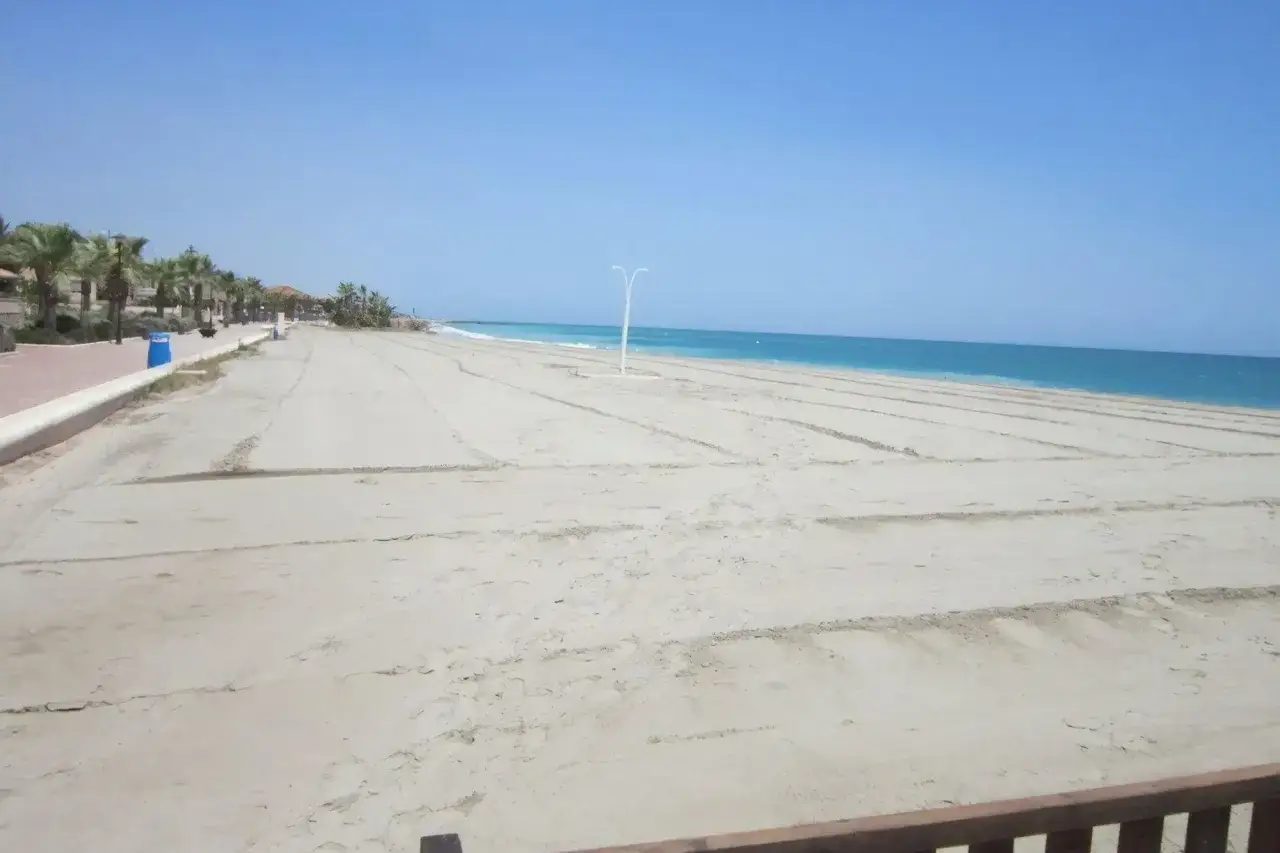Amplia playa almenara con arena clara, palmeras y el mar azul bajo un cielo despejado.