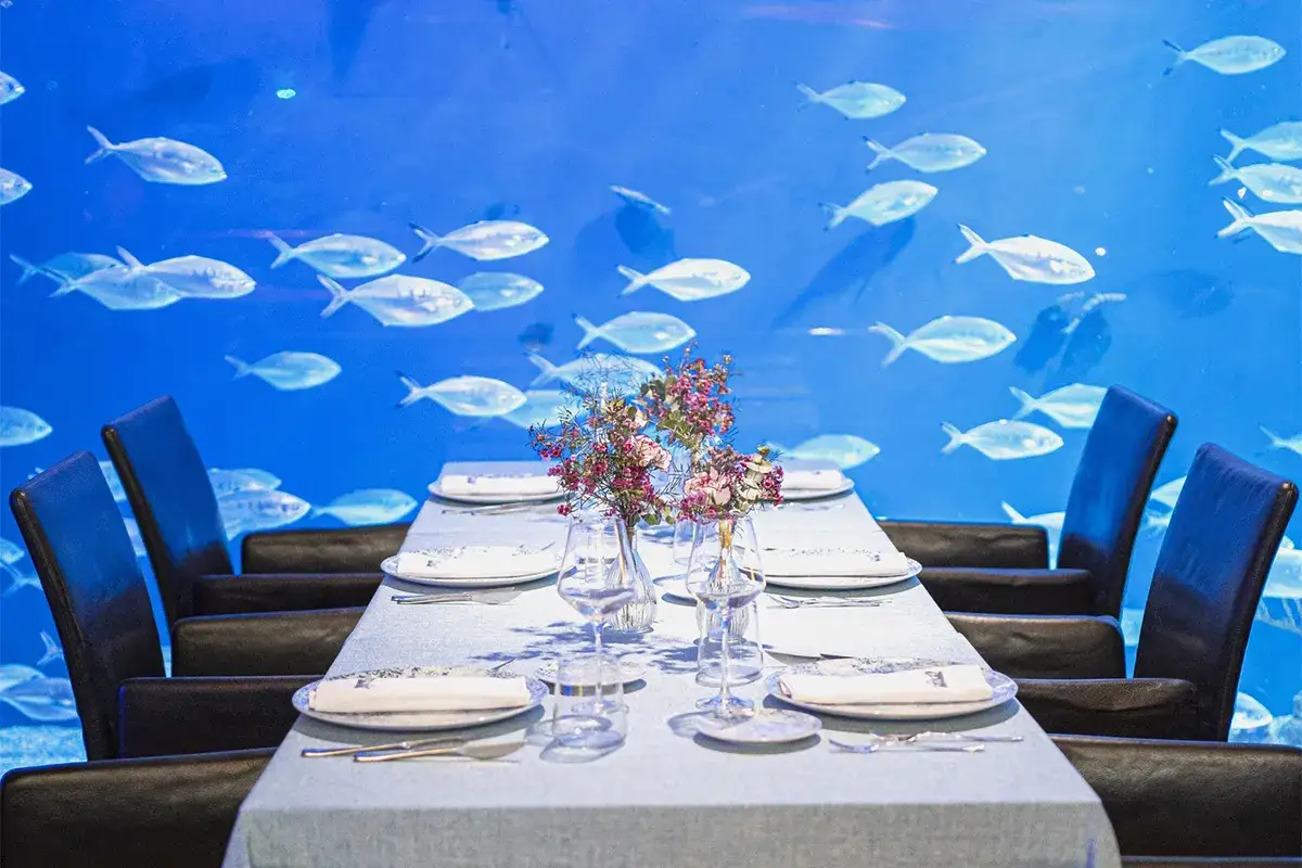 Mesa elegante con peces nadando detrás. Ideal para saber donde comer en el Oceanogràfic, opiniones de comensales.